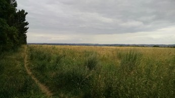 img_20160726_152543196