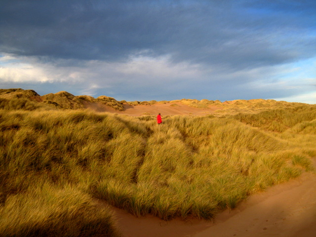 Foveran_Links_dune_system_-_geograph.org.uk_-_624470